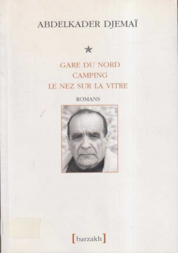 GARE DU NORD GAMPING LE NEZ SUR LA VITRE