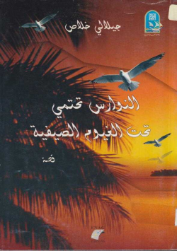 النوارس تحتمي تحت الغيوم الصيفية