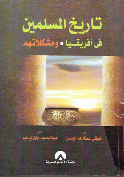 تاريخ المسلمين في إفريقيا - و مشكلاتهم