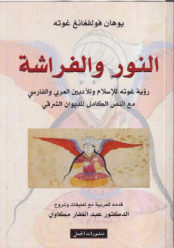 النور و الفراشة