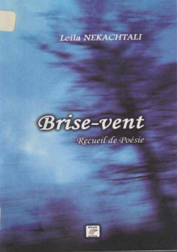 Brise-vent