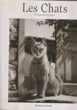 Les chats